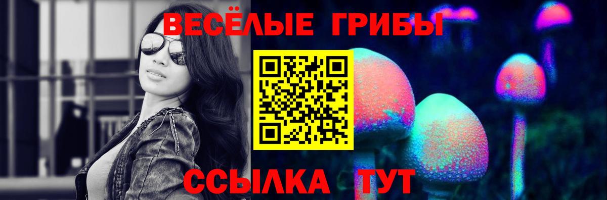 Галлюциногенные грибы GOLDEN TEACHER  Вход с VPN  Ачхой-Мартан 