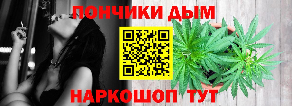 Конопля план Ачхой-Мартан